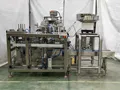 Ensacheuse horizontale pour sachets préformés liquides et pâtes